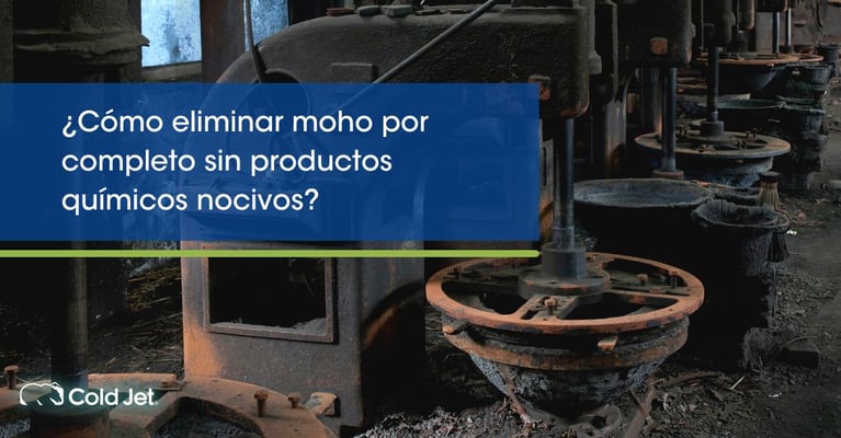 Cómo eliminar moho por completo sin productos químicos nocivos