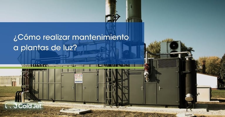 ¿Cómo realizar mantenimiento a plantas de luz?