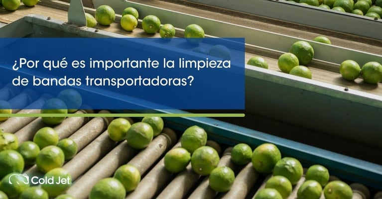 ¿Por qué es importante la limpieza de bandas transportadoras?