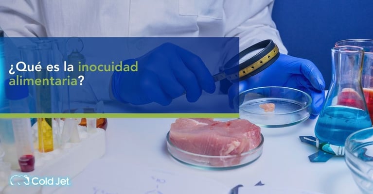 Inocuidad alimentaria: definición, tipos y norma ISO 22000